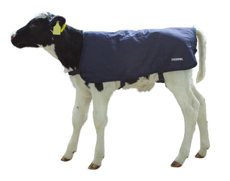 Abi productos pantorrilla easywear azul 70cm