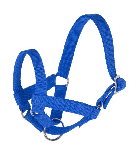 Productos cabestro llama azul gr 60