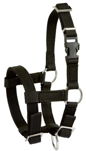 Productos cabestro de alpaca negro