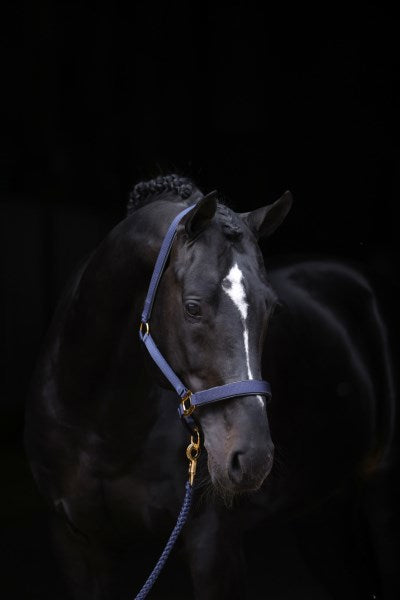 Abi productos topline halter azul 1 pony