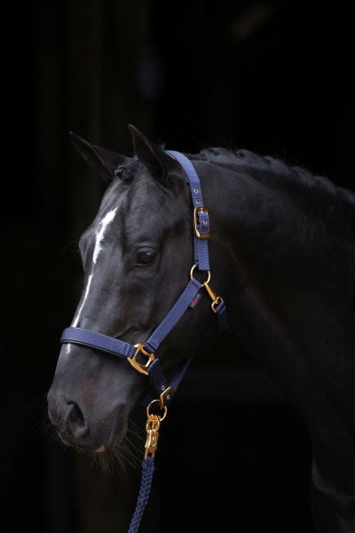Productos Abi topline halter azul 2 mazorca
