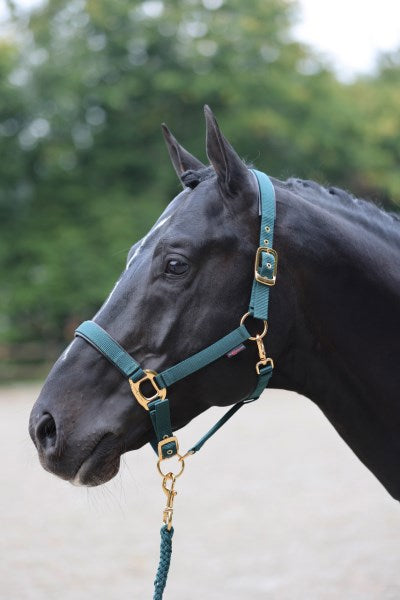 Abi productos topline halter verde oscuro 4 extra completo