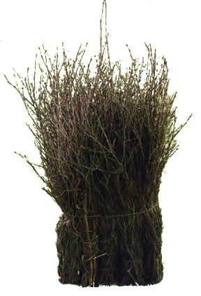 Eurotools escoba barredora marrón 75cm