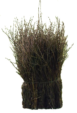 Eurotools escoba barredora marrón 75cm