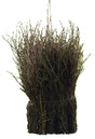 Eurotools escoba barredora marrón 75cm