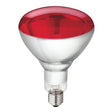 Abi productos lámpara de calor Philips 250w rojo