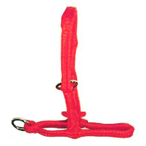 Productos polihalter naranja rosa