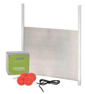 Productos juego puerta gallina automática 30x40cm