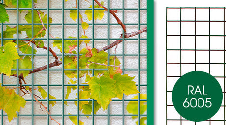 Productos Giardino panel de alambre bolonia 5x5cm x 150cm x 80cm ral 6005 verde