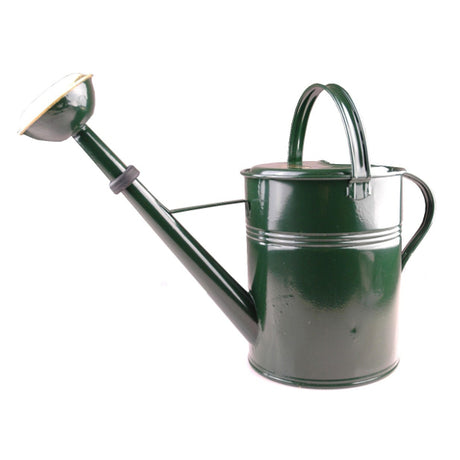 Productos regadera pulverizador latón lacado verde 9l