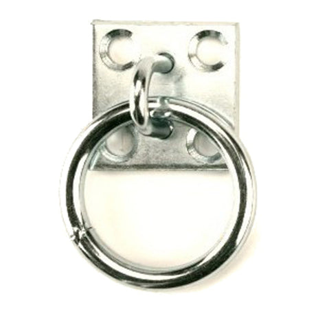 Productos placa de pared con aro 8mm galvanizado