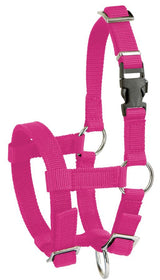 Productos cabestro de alpaca rosa
