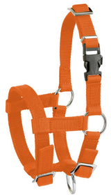 Productos cabestro de alpaca naranja