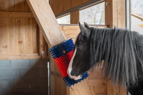 Productos cepillo para vacas semicircular cepillo para ganado azul rojo xl
