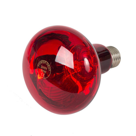 Producten warmtelamp powerheat 60w rood