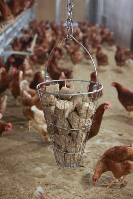 Cesta de alimentación para heno comedero verde galvanizado 50cm