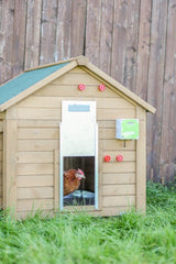 Productos juego puerta gallina automática 30x40cm