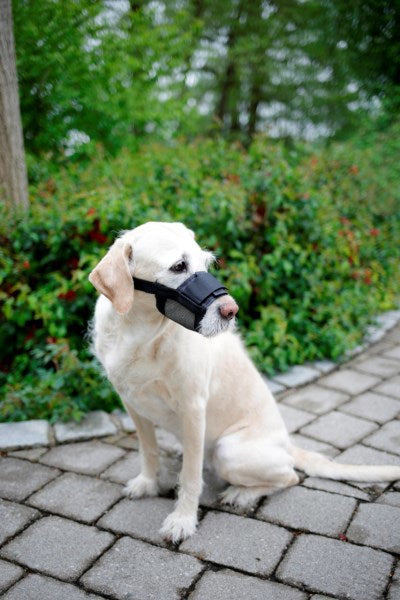 Productos bozal de nylon perro talla XL negro