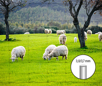 Productos Giardino alambre de oveja pesado 140 11 15 x 50m