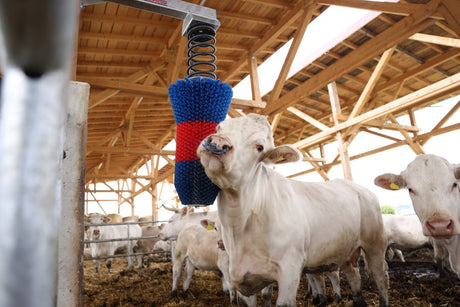 Productos cepillo para ganado happycow flexiswing