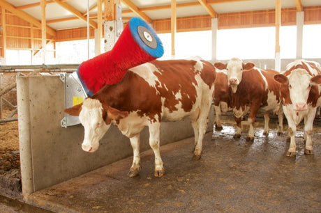 Productos cepillo para vacas happycow uno horizontal