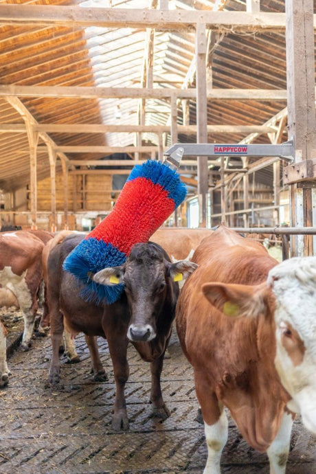 Productos cepillo para ganado happycow freemaxi