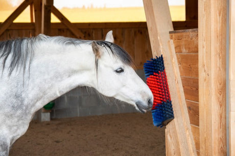 Productos cepillo para vacas semicircular cepillo para ganado azul rojo xl