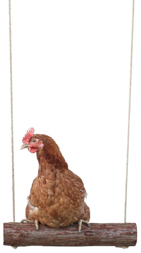 Productos Kerbl columpio para pollos 39 x 5 cm