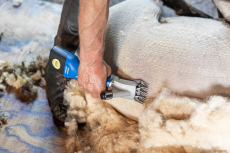 Aesculap econom productos esquiladora de ovejas econom nova inalámbrica plus1 batería