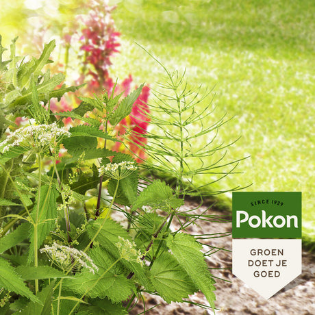 Productos pokon contra malas hierbas rebeldes concentrado 100ml weedex