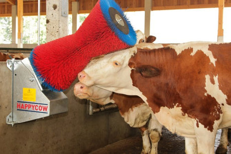 Productos cepillo para vacas happycow uno horizontal