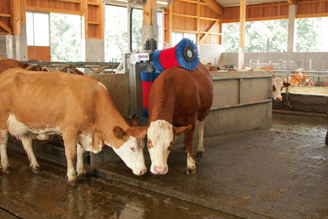 Productos happycow cepillo para vacas duo
