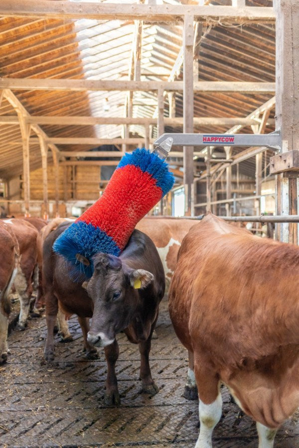 Productos cepillo para ganado happycow freemaxi