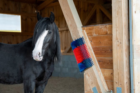 Productos cepillo para vacas semicircular cepillo para ganado azul rojo xl