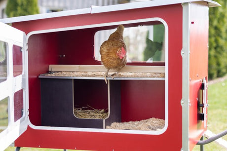 Abi productos mobilecoop gallinero de madera