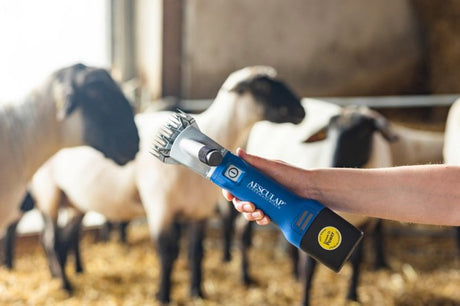 Aesculap econom productos esquiladora de ovejas econom nova inalámbrica plus1 batería
