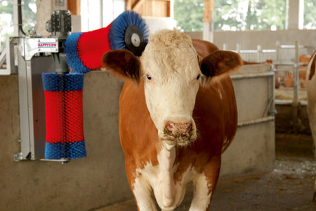 Productos happycow cepillo para vacas duo