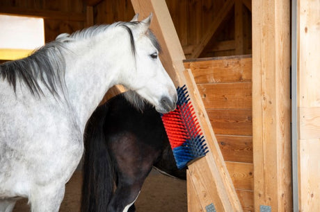 Productos cepillo para vacas semicircular cepillo para ganado azul rojo xl