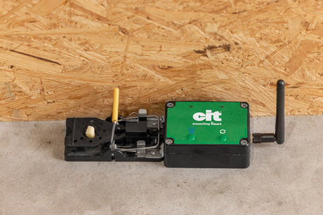 Productos ratonera smart cit mousestop