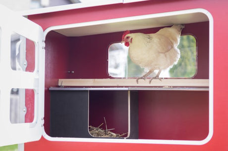 Abi productos mobilecoop gallinero de madera