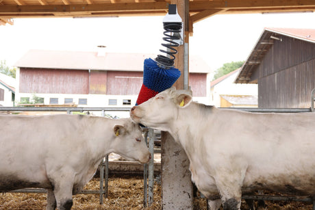 Productos cepillo para ganado happycow flexiswing