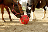 productos comida play ball rojo