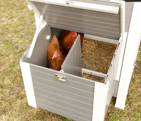 Productos gallinero eco estable plastico barney