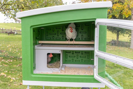 Gallinero de plástico Abi Products mobilecoop