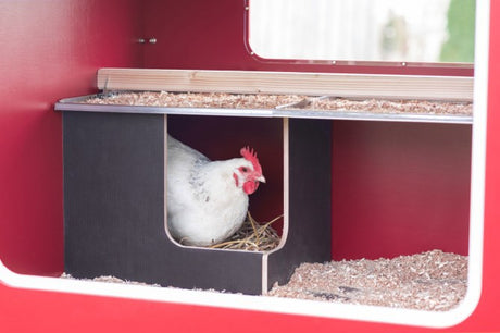 Abi productos mobilecoop gallinero de madera