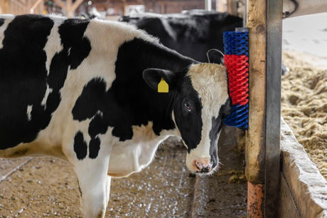 Productos cepillo para vacas semicircular cepillo para ganado azul rojo xl
