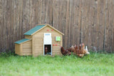 Productos juego puerta gallina automática 30x40cm