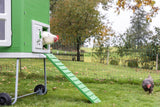 Gallinero de plástico Abi Products mobilecoop