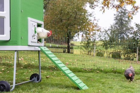 Gallinero de plástico Abi Products mobilecoop