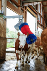 Productos cepillo para vacas happycow maxiswing